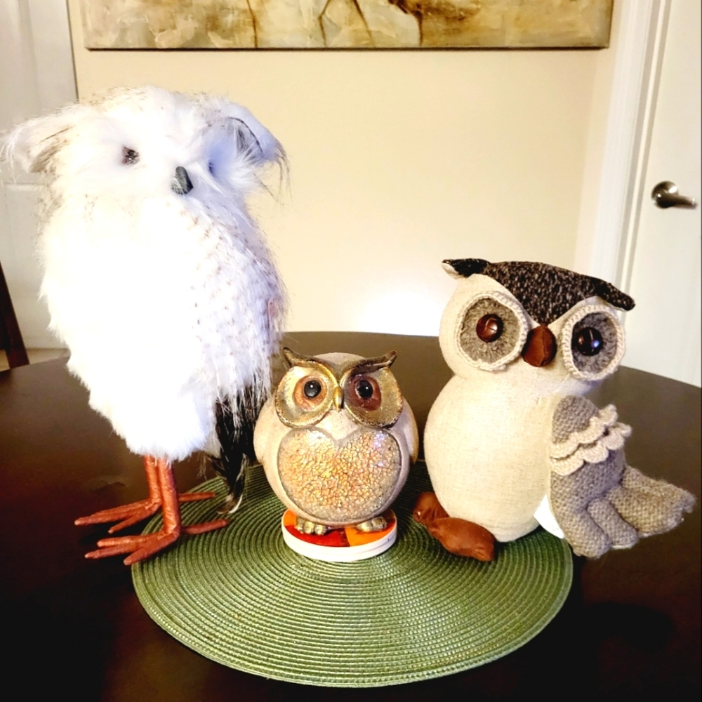 Owls